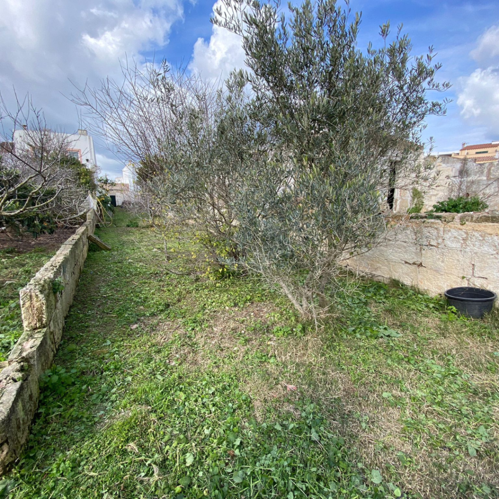 T1532 - Parcelle constructible au centre de Mercadal :