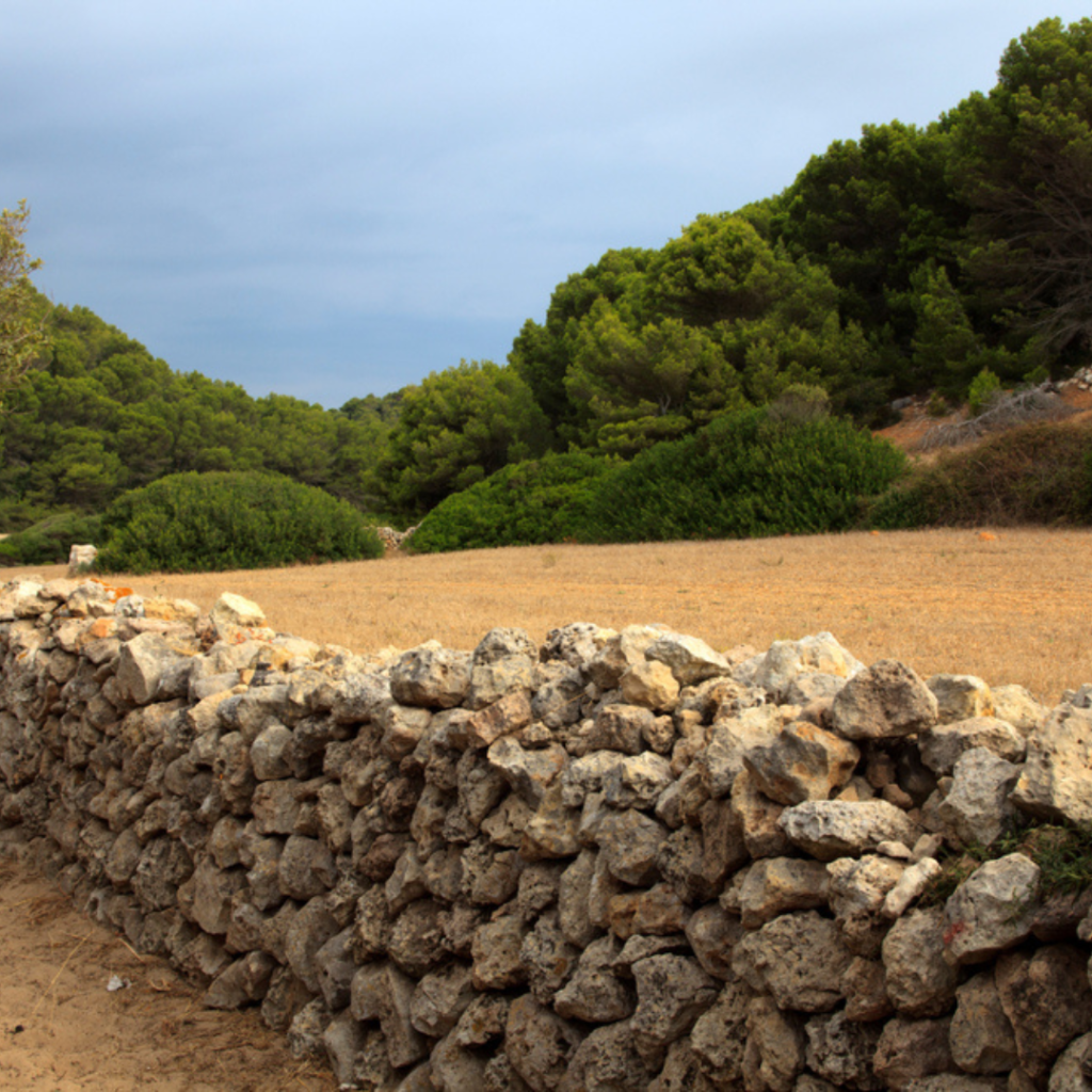 Pareter menorca