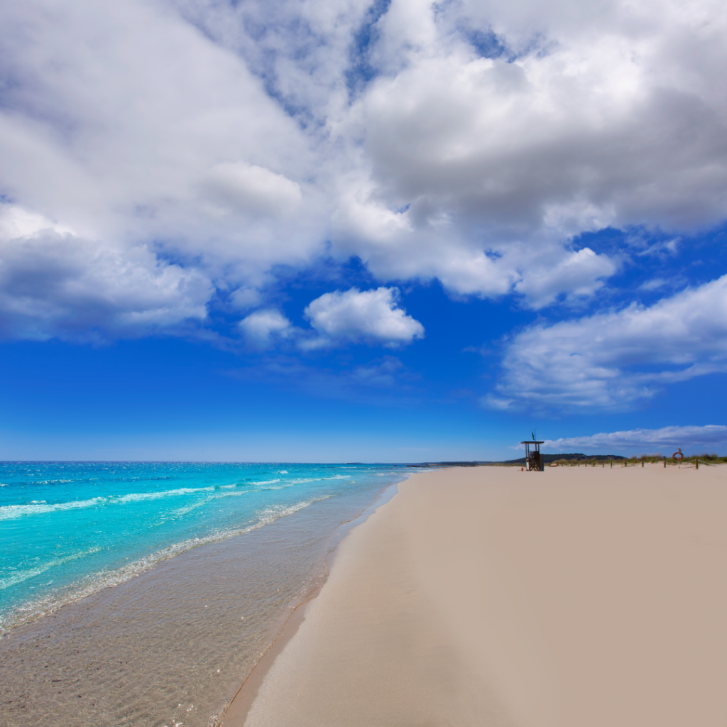 La Zone Sud : Relief Doux et Plages de Sable Fin