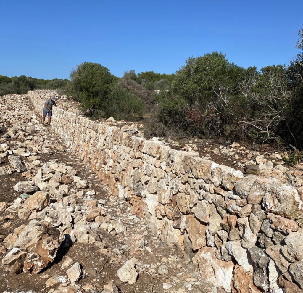 S'étendant sur plus de 12 000 kilomètres à travers l'île, les murs en pierre sèche de Minorque définissent son paysage