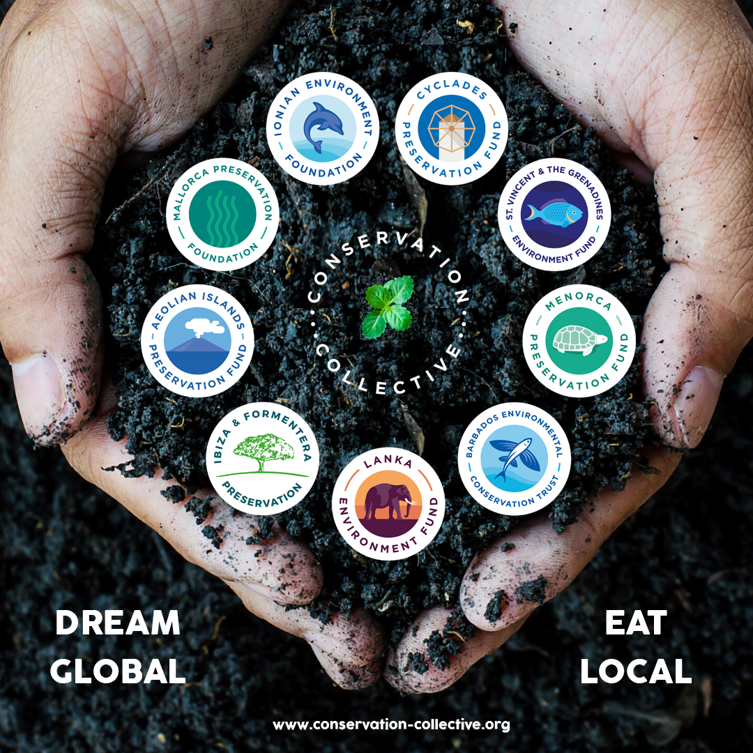 Dream Global /Eat Local — Initiative