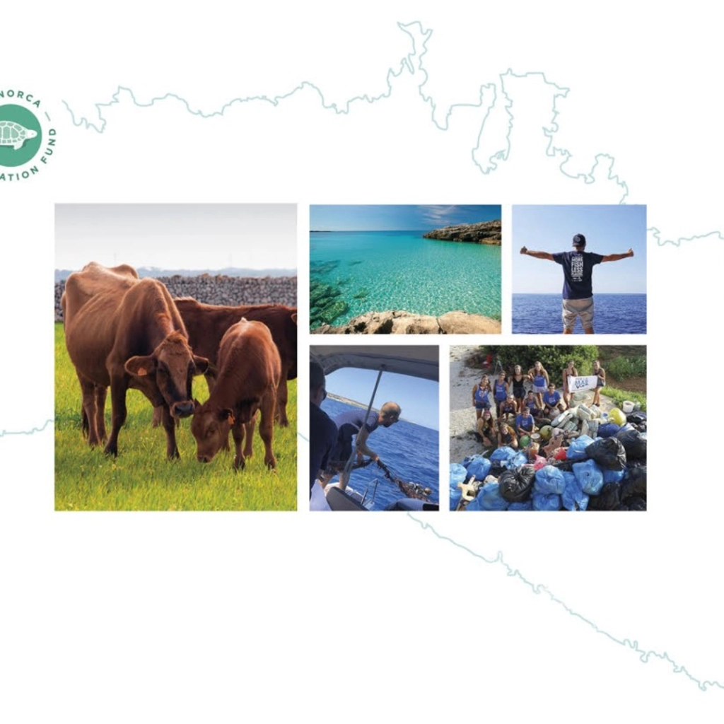 Menorca Preservation Fund — (MEPF)