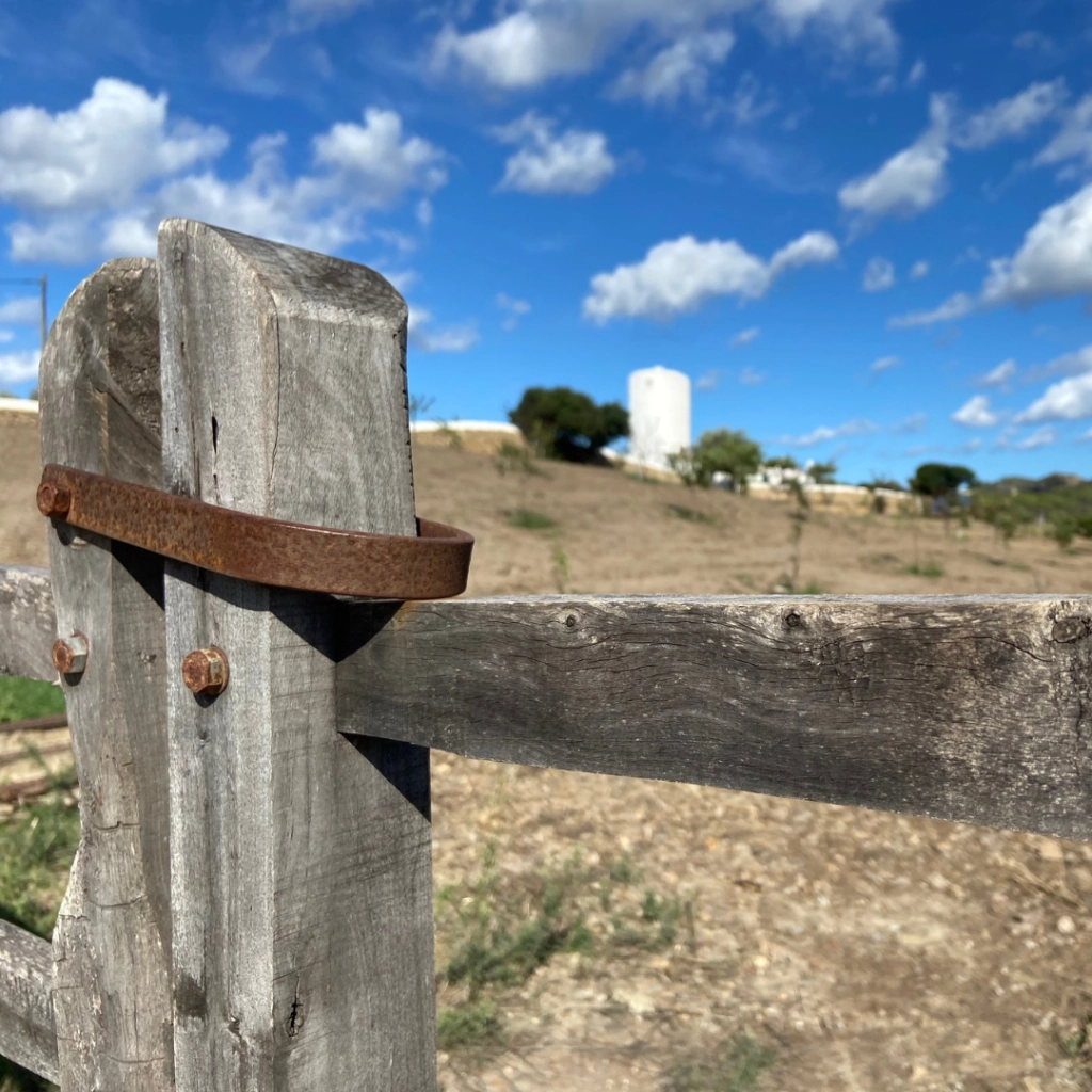 ¿QUÉ DEBES TENER EN CUENTA A LA HORA DE COMPRAR UNA CASA DE CAMPO?