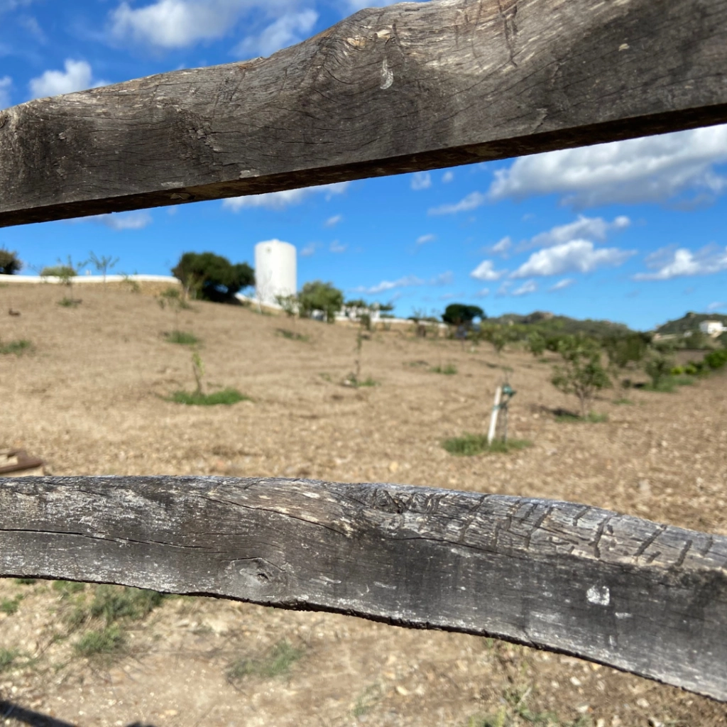 Maisons de campagne Minorque